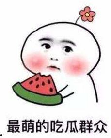 吃瓜黑料正能量爆料蘑菇视频,吃瓜黑料正能量，揭秘娱乐圈幕后真相